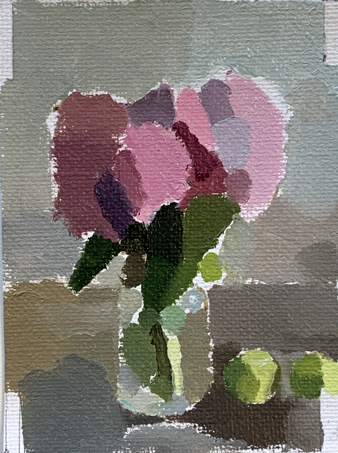 Pink Hydrangeas