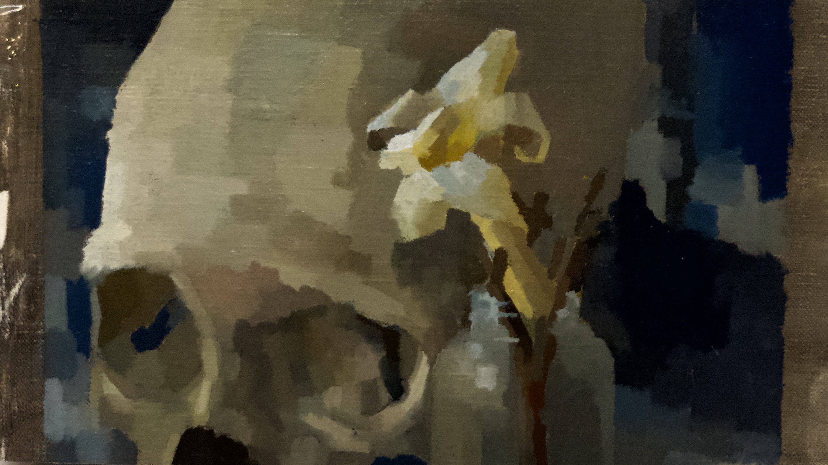 Withering Lily