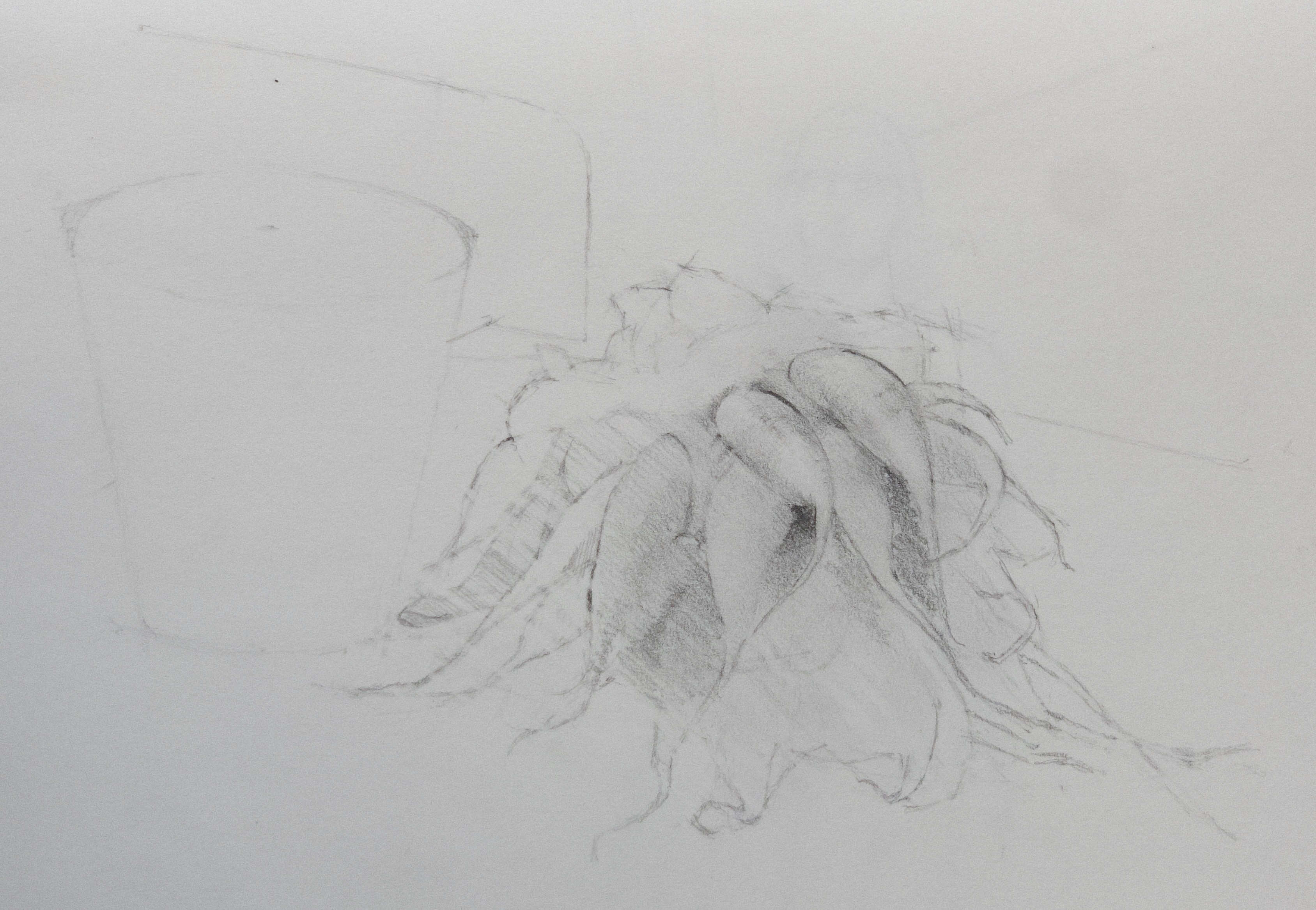 Radishes
