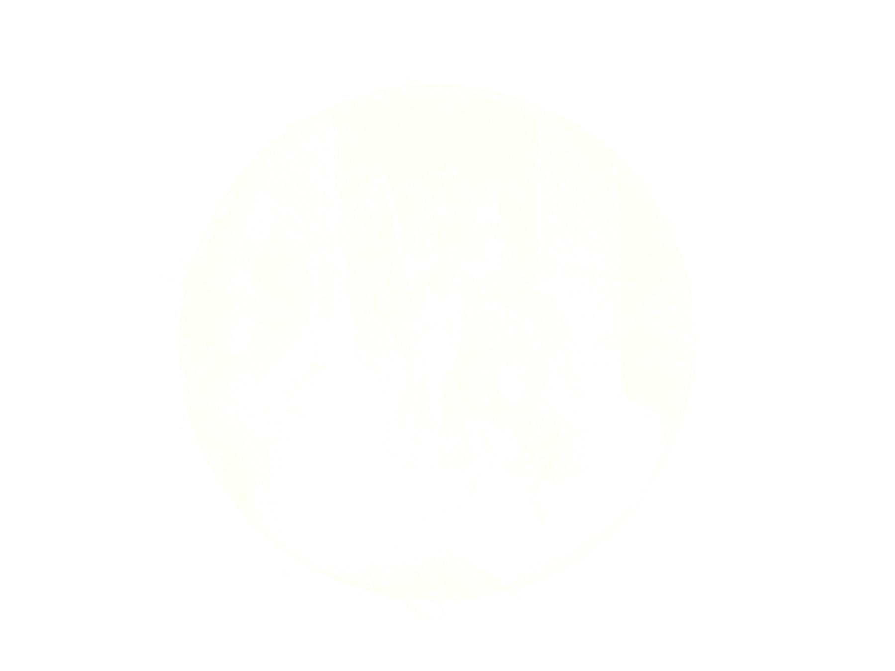 Circular artwork detail